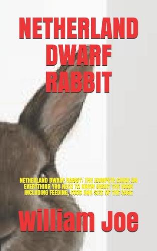 Netherland Dwarf Rabbit