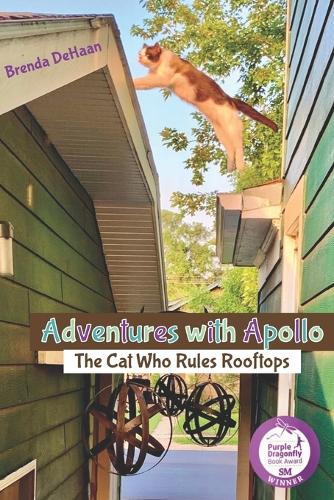 Adventures with Apollo