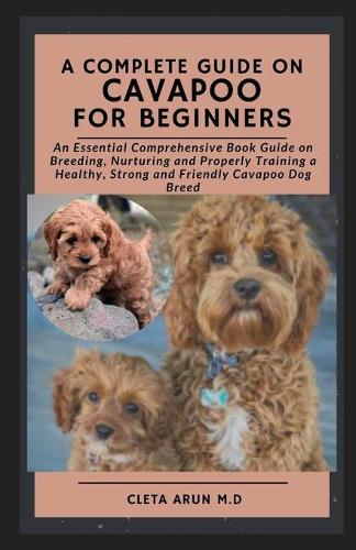 A Complete Guide on Cavapoo for Beginners