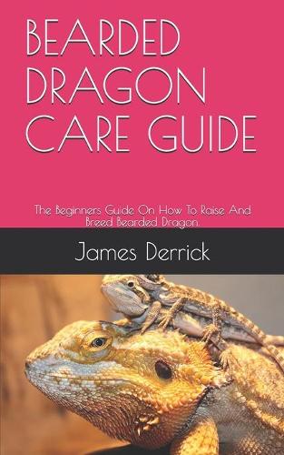 Bearded Dragon Care Guide