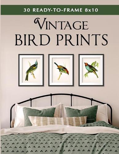 30 Ready-to-Frame 8x10 Vintage Bird Prints
