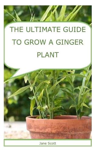 The Ultimate Guide to Grow a Ginger Plant