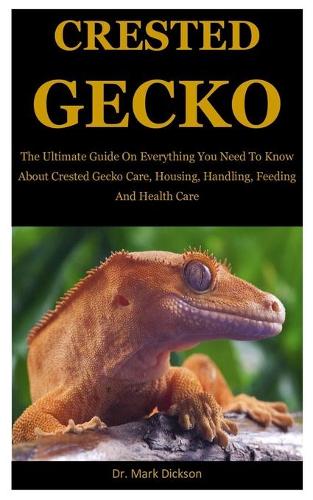 Crested Gecko