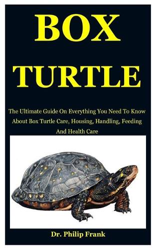 Box Turtle