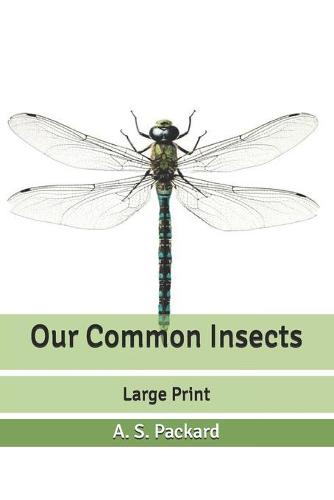 Our Common Insects