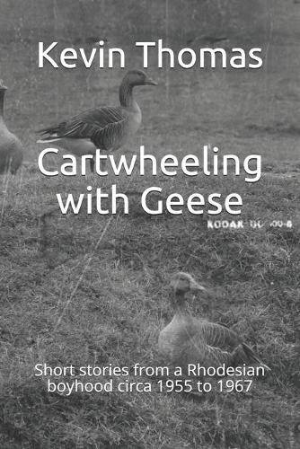 Cartwheeling with Geese