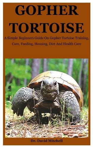 Gopher Tortoise