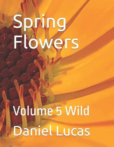 Spring Flowers