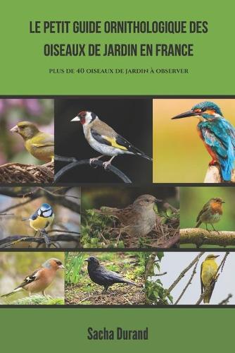 Le petit guide ornithologique des oiseaux de jardin en France