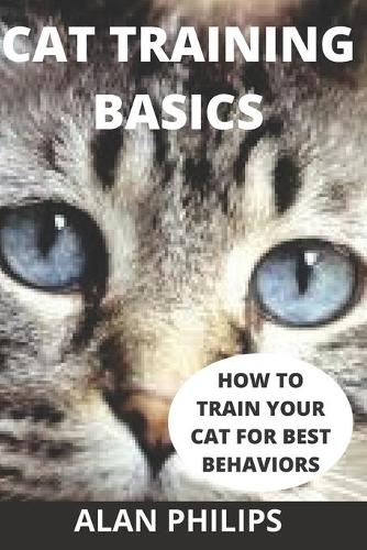 Cat Training Basics