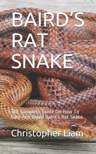 Baird's Rat Snake