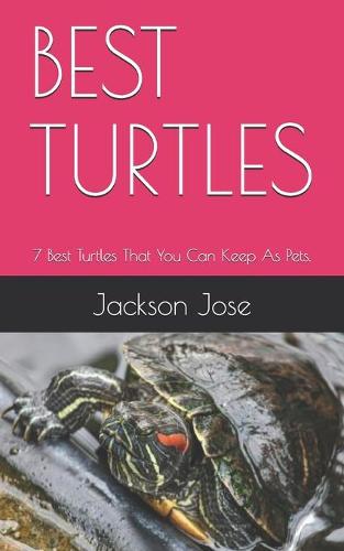 Best Turtles