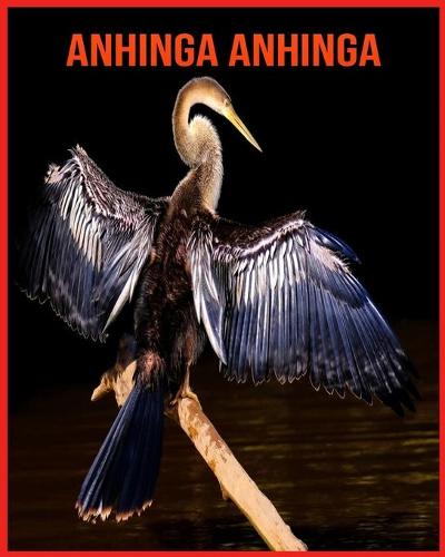 Anhinga anhinga