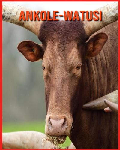 Ankole-Watusi