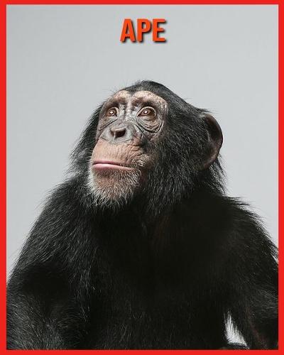 Ape