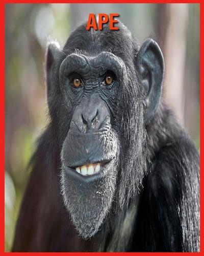 Ape