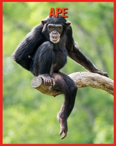 Ape