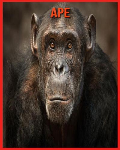 Ape