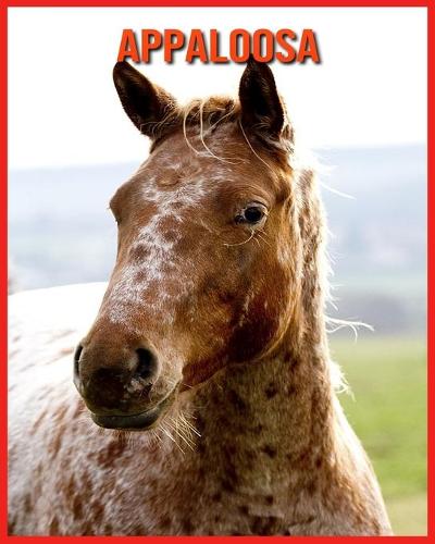 Appaloosa