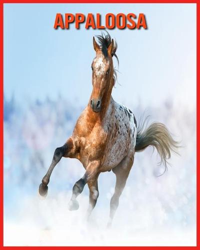 Appaloosa