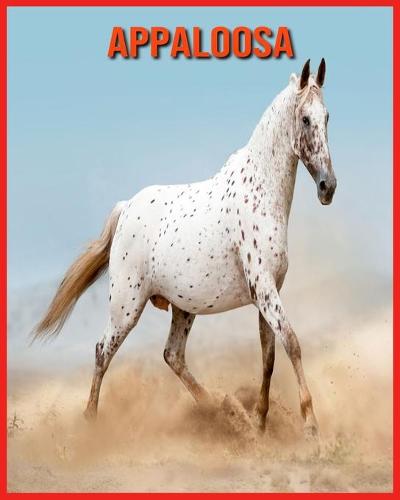 Appaloosa