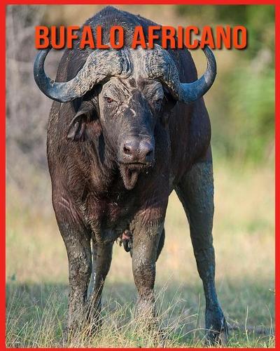 Bufalo Africano