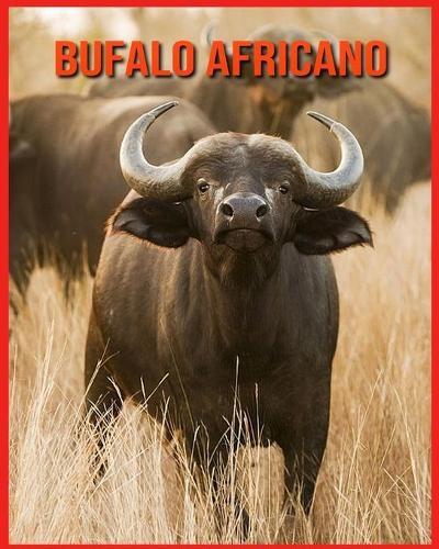 Bufalo Africano