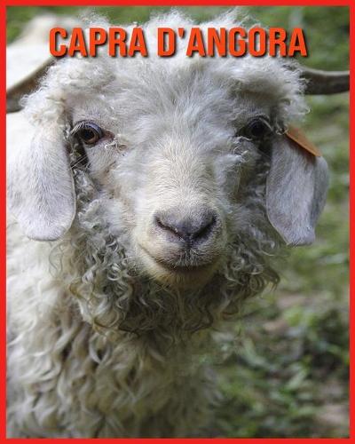 Capra d'Angora