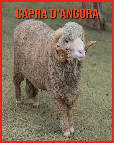 Capra d'Angora