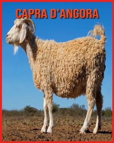 Capra d'Angora