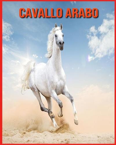 Cavallo Arabo
