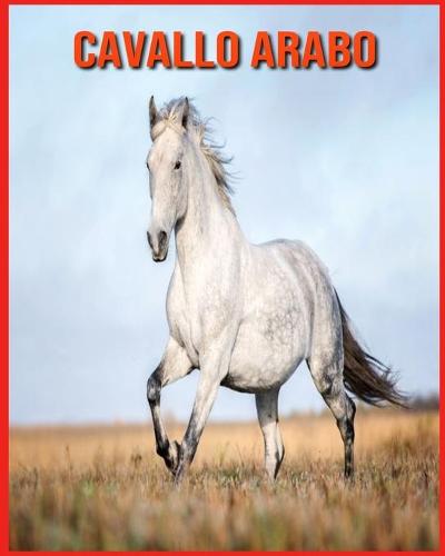 Cavallo Arabo