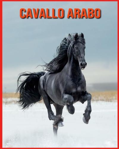 Cavallo Arabo