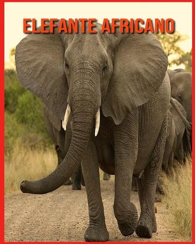 Elefante Africano