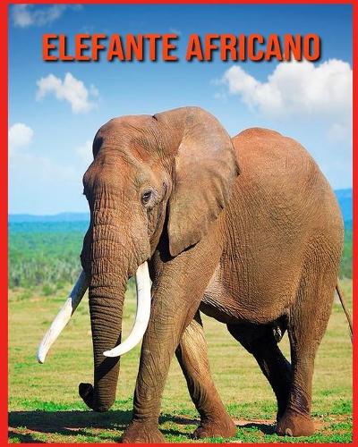 Elefante Africano