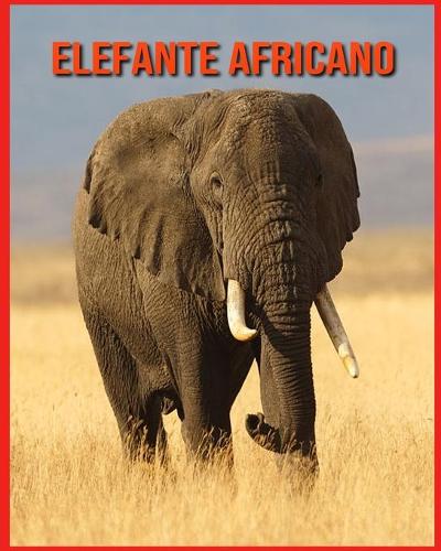 Elefante Africano