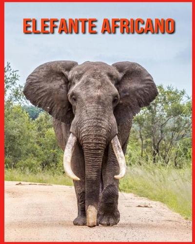 Elefante Africano