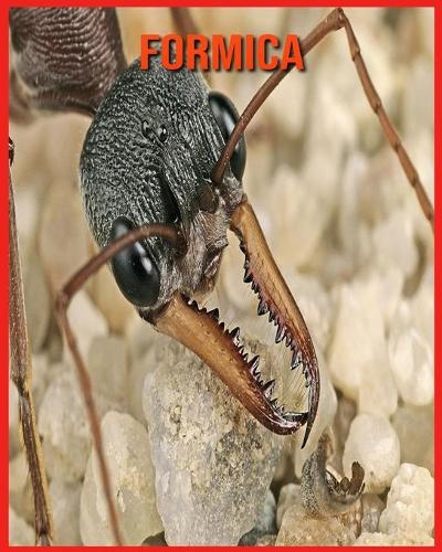 Formica