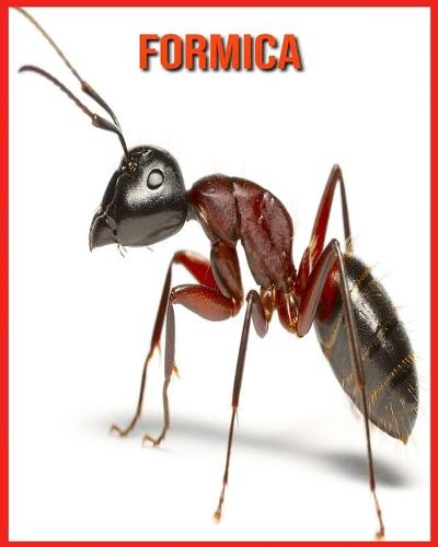 Formica
