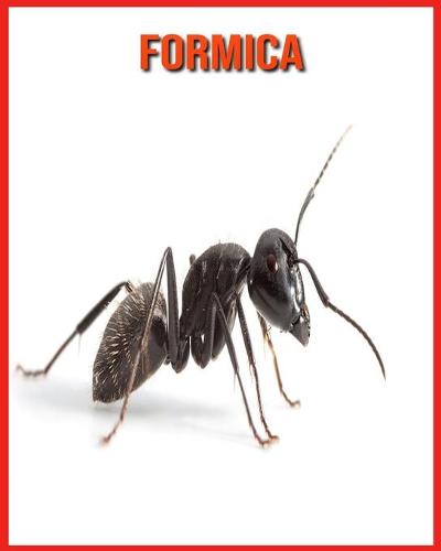 Formica