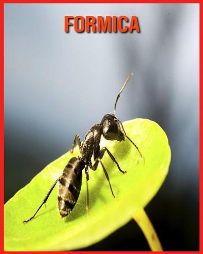 Formica