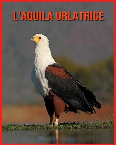 L'aquila Urlatrice