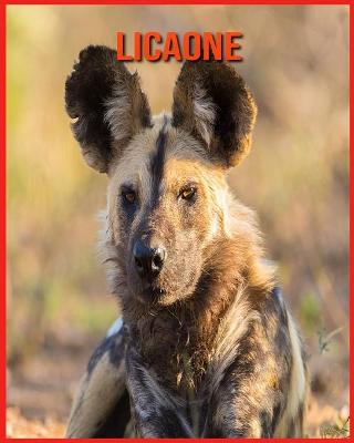Licaone