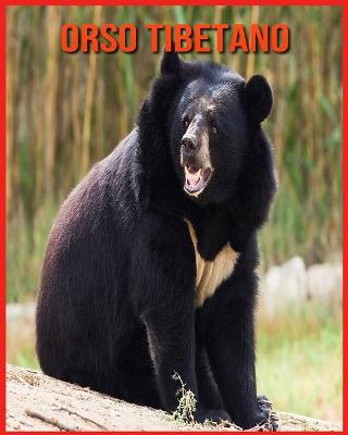 Orso Tibetano