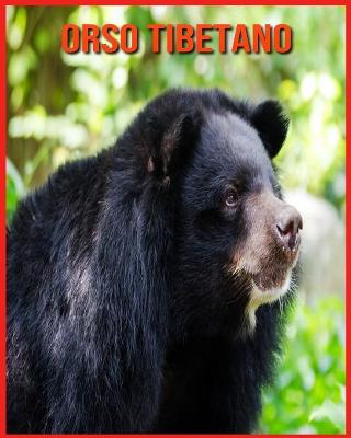 Orso Tibetano