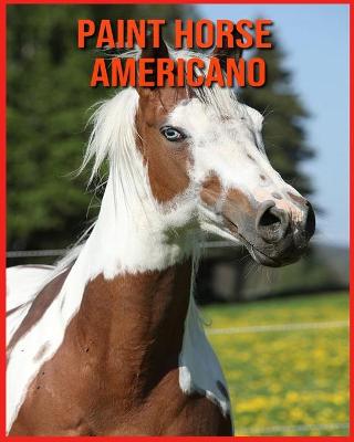 Paint Horse Americano