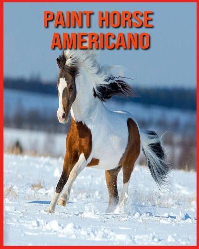 Paint Horse Americano