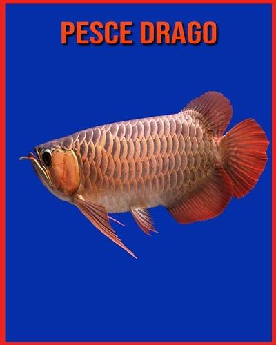 Pesce Drago