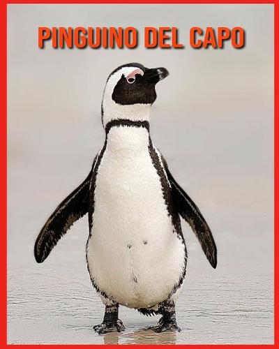 Pinguino del Capo