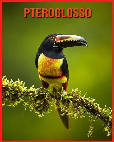 Pteroglosso